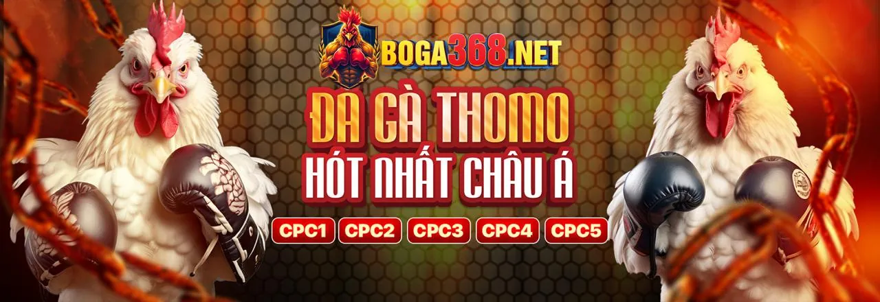 Đá gà trực tuyến Hello88 2026